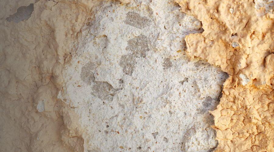 Why choose water damage restoration service for emergency water extraction services in Holmdel